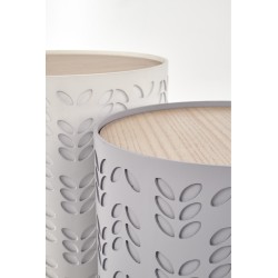 'ALBA Set of Two Benches with Storage in White / Ash' 'ALBA Set of Two Benches with Storage in White / Ash'