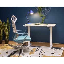 'B53 Desk with Height Adjustment Function, White'
