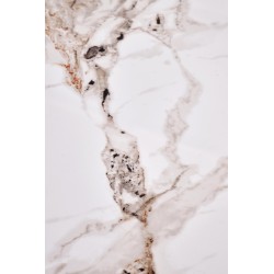 'CARINA Beige Marble / Walnut Coffee Table' 'CARINA Beige Marble / Walnut Coffee Table'