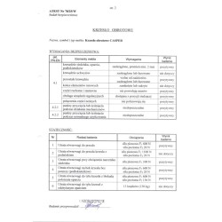 CASPER fotel gabinetowy czarny (1p 1szt) CASPER fotel gabinetowy czarny (1p 1szt)