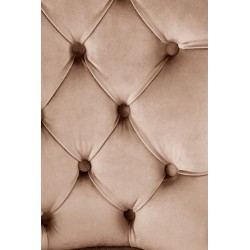 'MIYA Black Chair / Upholstery: Beige' 'MIYA Black Chair / Upholstery: Beige'