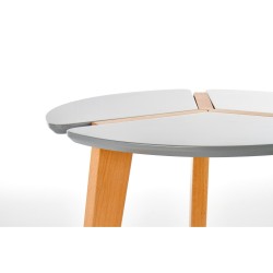 'ZETA Ash Grey Coffee Table' 'ZETA Ash Grey Coffee Table'