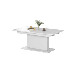 'BUSETTI Coffee Table Top: Matte White, Legs: Matte White'