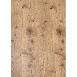 'XAVIER Table' 'XAVIER Table'