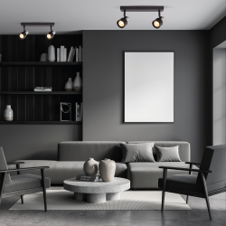 Ceiling Lamp Cino 2xGU10 Black + Chrome Ceiling Lamp Cino 2xGU10 Black + Chrome