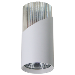 NEO WEIß CHROM DOWNLIGHT 1xGU10