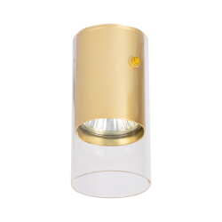 Ricky Downlight-Fassung Gold 1xGU10