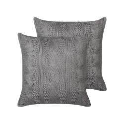 Zestaw 2 poduszek dekoracyjnych CONSTYLIS Bawełna 45 x 45 cm Ciemnoszary Jednolity Zestaw 2 poduszek dekoracyjnych CONSTYLIS Bawełna 45 x 45 cm Ciemnoszary Jednolity